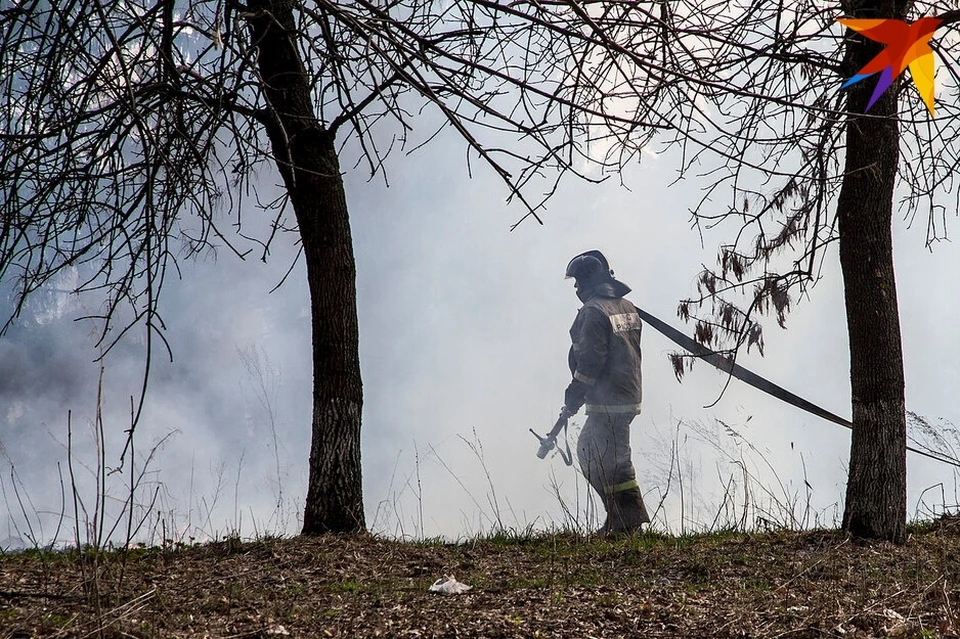 С начала пожароопасного сезона в Удмуртии произошло 223 ландшафтных пожара