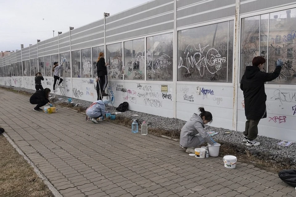 На шумоизоляционной стене на улице Лейтенанта Орлова студенты изобразили Хабаровский край Фото: администрация Хабаровска