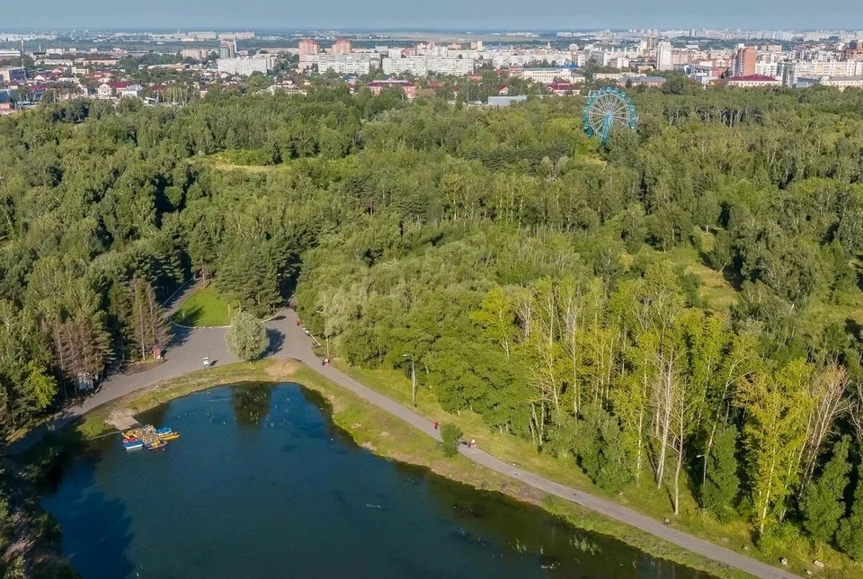 Название 30. Парк культуры Омск. Парк ВЛКСМ Омск. Парк 30 летия ВЛКСМ. Парк культуры и отдыха 30 лет ВЛКСМ Омск.