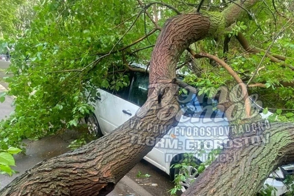 На легковушку упало вполне здоровое на вид дерево. Фото: группа в VK Это Ростов! – новости Ростова-на-Дону 161