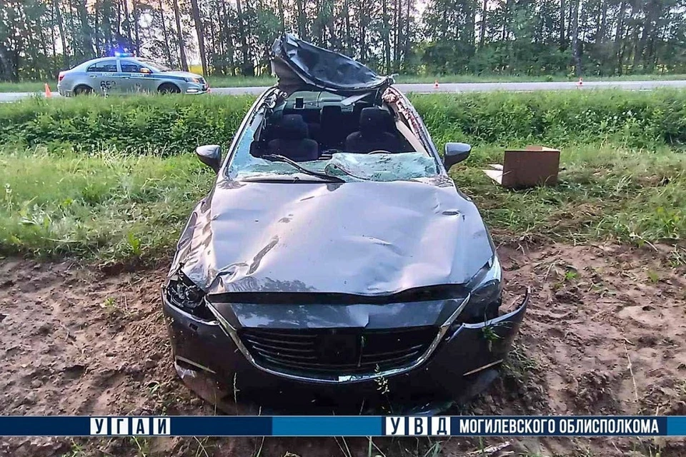 В Могилевской области два человека госпитализированы после ДТП с лосем. Фото: УВД Могилевского облисполкома.