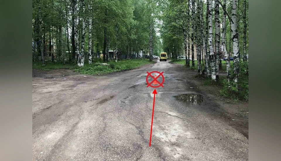 Фото: ГИБДД по Коми