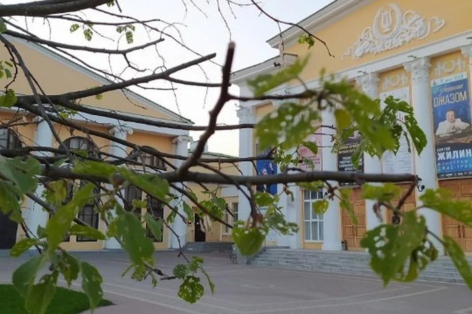 Липы в центре Рязани повредил непарный шелкопряд. Фото: Екатерина Стефанова