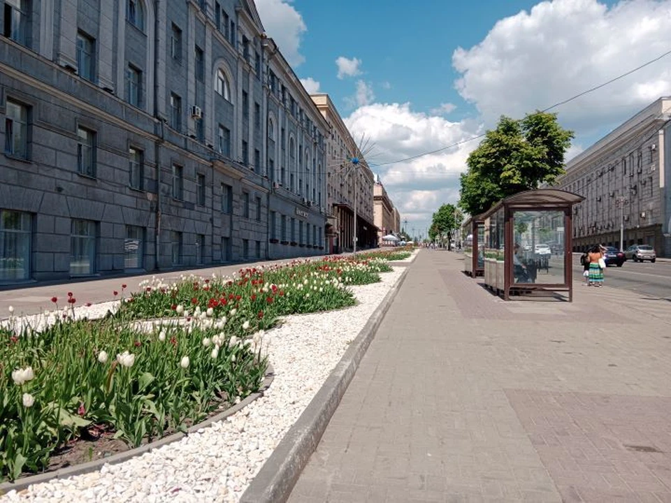 Тюльпаны уже оцвели на улице Ленина