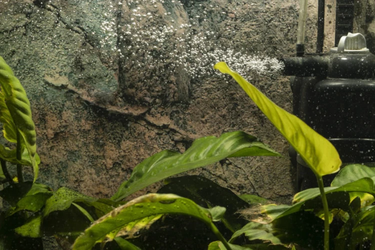 Фильтры для аквариумов: как выбрать недорогой и надежный