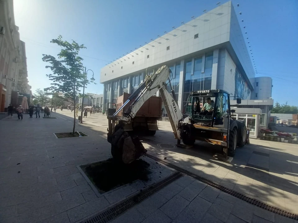 фото: Администрация Фрунзенского района Саратова