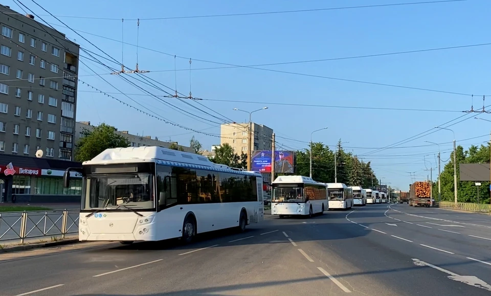 Фото: пресс-служба администрации Костромской области