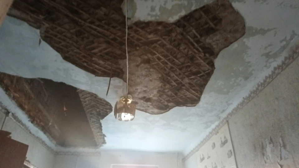 Иллюстрация.