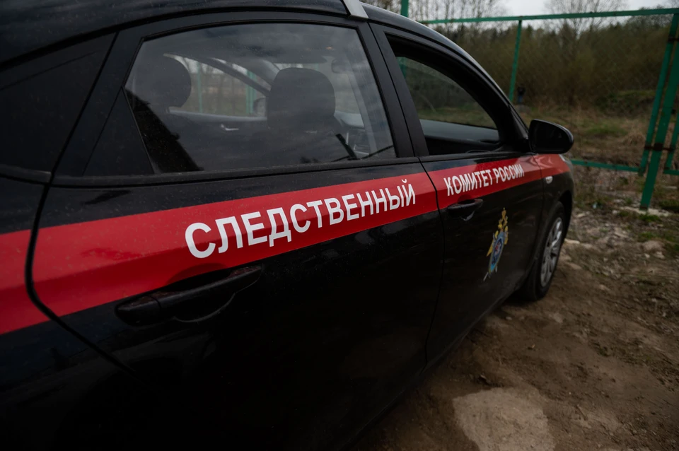 Упавший в простенок 7-месячный младенец из Петербурга задохнулся.