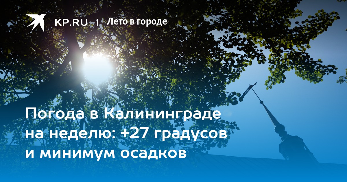 Погода в калининграде на неделю карта осадков