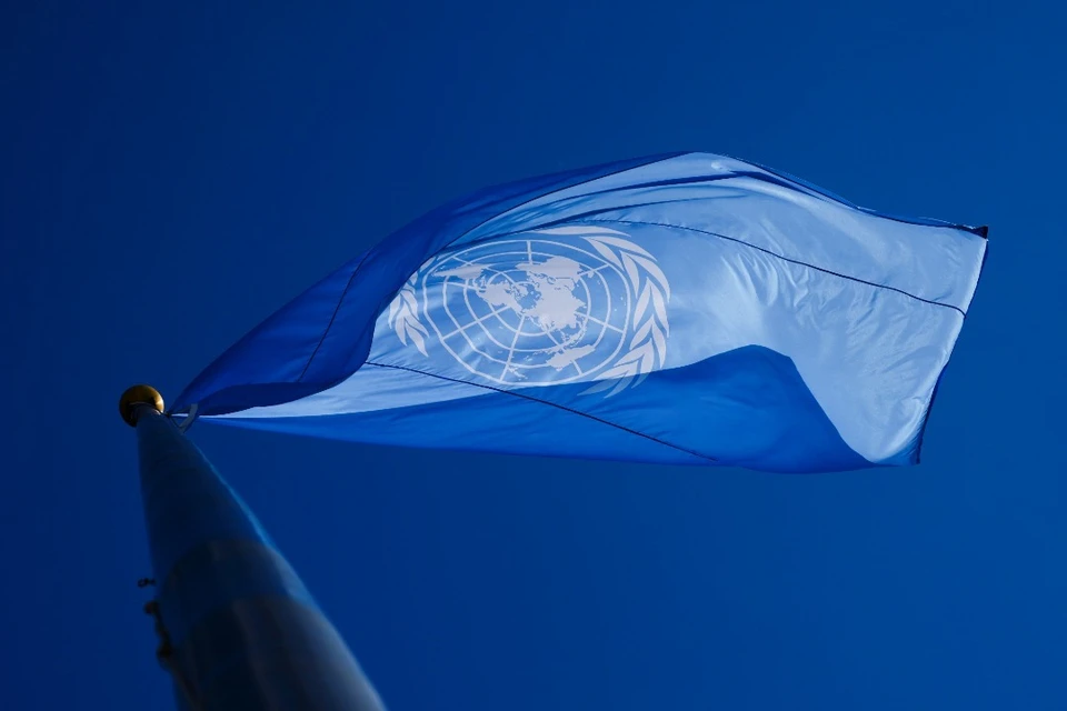 Международный суд ООН к январю 2024 года вынесет решение по иску Украины к России