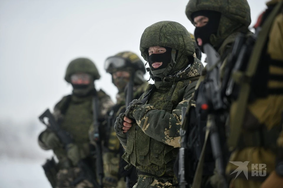 Участники СВО, отличившиеся в зоне боевых действий, получат бесплатные земельные участки в Ленинградской области.