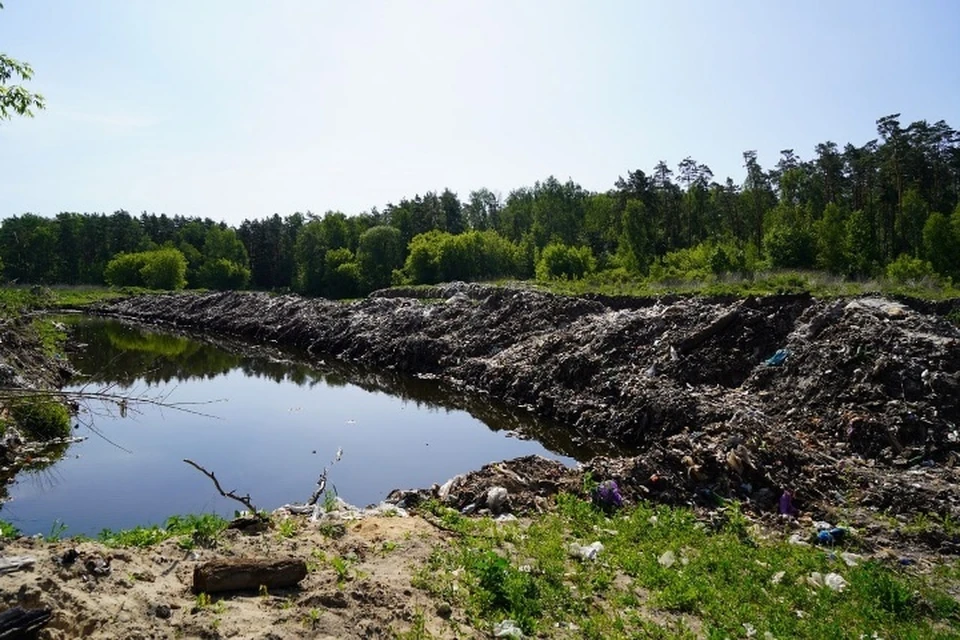 Фото: А.В. БОГОМАЗ, vk.com.
