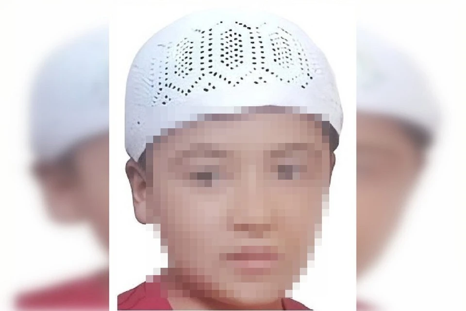 В Новосибирске завершены поиски 8-летнего мальчика, пропавшего в СНТ «Радуга». Фото: «ЛизаАлерт НСО».