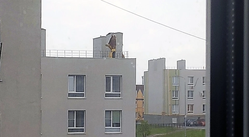 Об этом рассказал наш читатель.