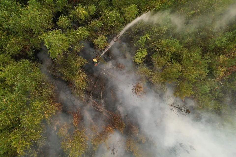 Ситуация с лесными пожарами стоит на контроле Роспотребнадзора.