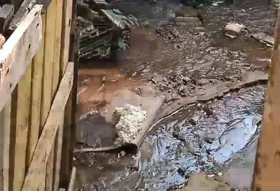 Фото: Прокуратура Саратовской области