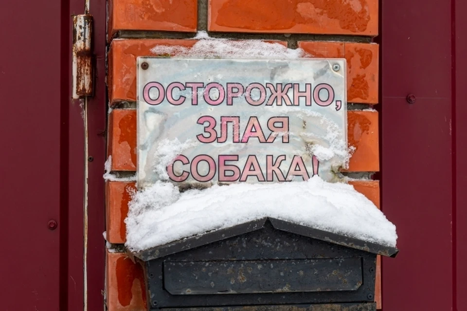 Фото: Архив КП
