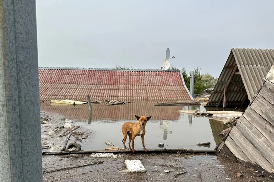 В воде остаются города и села Херсонской области Фото: ТГ Евгений Кузьмин