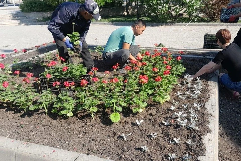 В Калининском районе Новосибирска высадили 15 тысяч цветов. Фото: мэрия Новосибирска