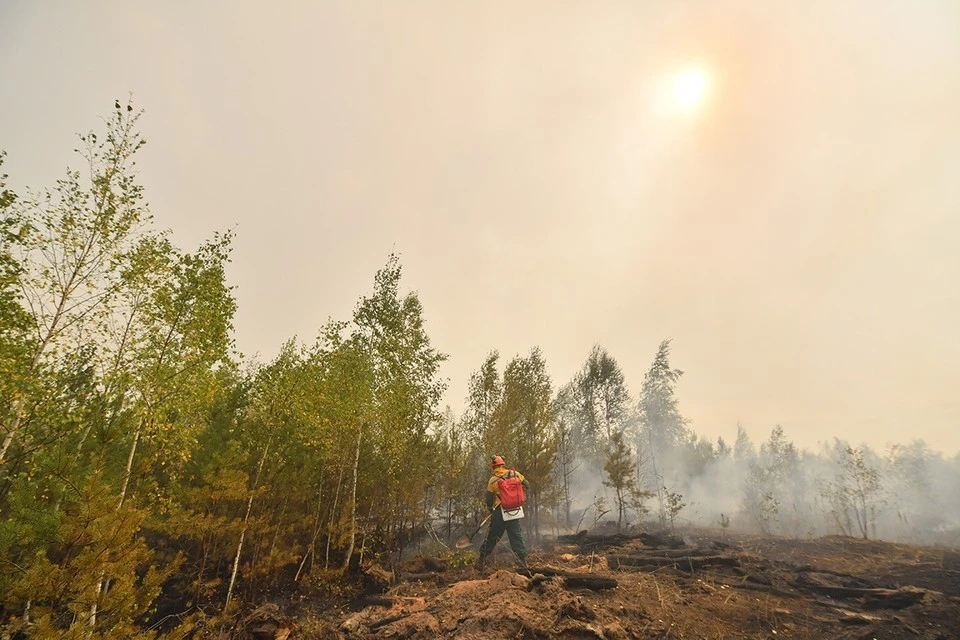 Токаев объявил 12 июня днем общенационального траура по погибшим из-за лесного пожара