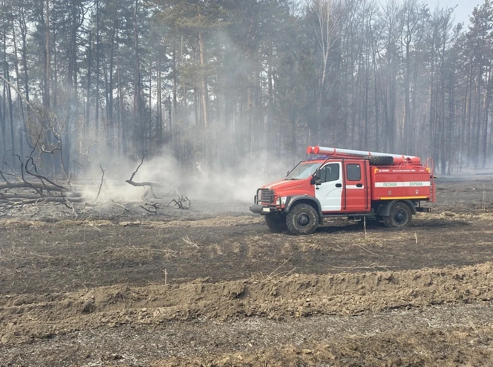 В Нижневартовском районе пожарные тушат возникший 10 июня лесной пожар
