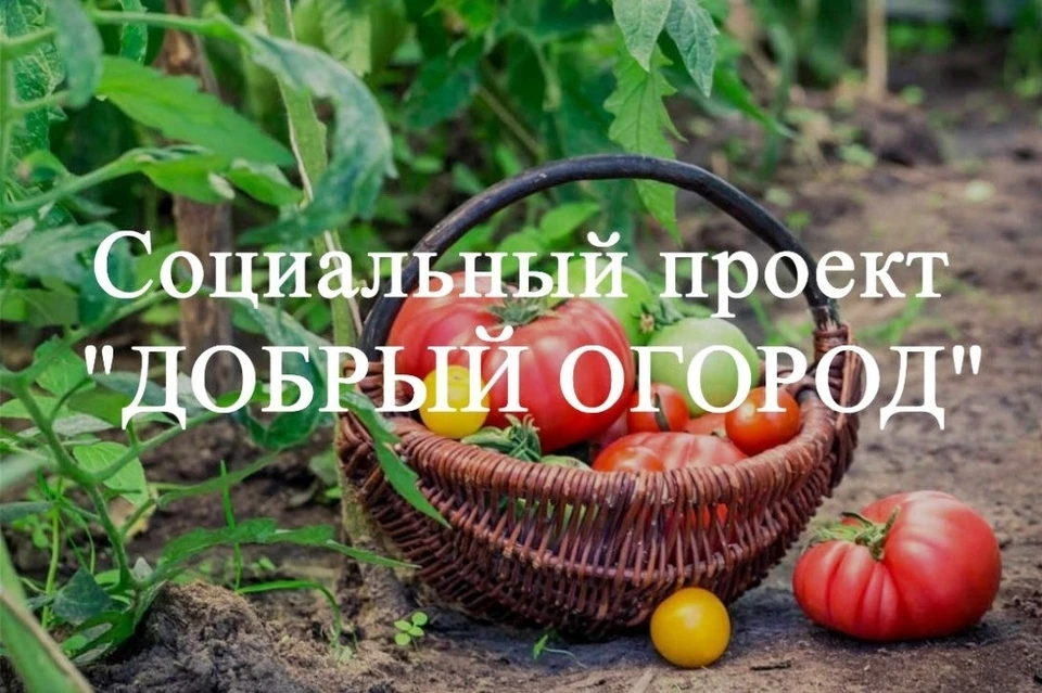 Фото предоставлено министерством внутренней и информационной политики Пензенской области