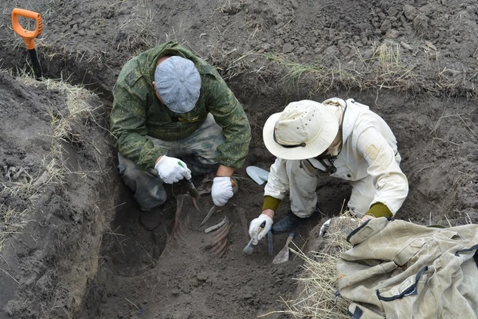 В братской могиле нашли останки 23 жителей Таманского полуострова. Фото: t.me/kubanpoisk