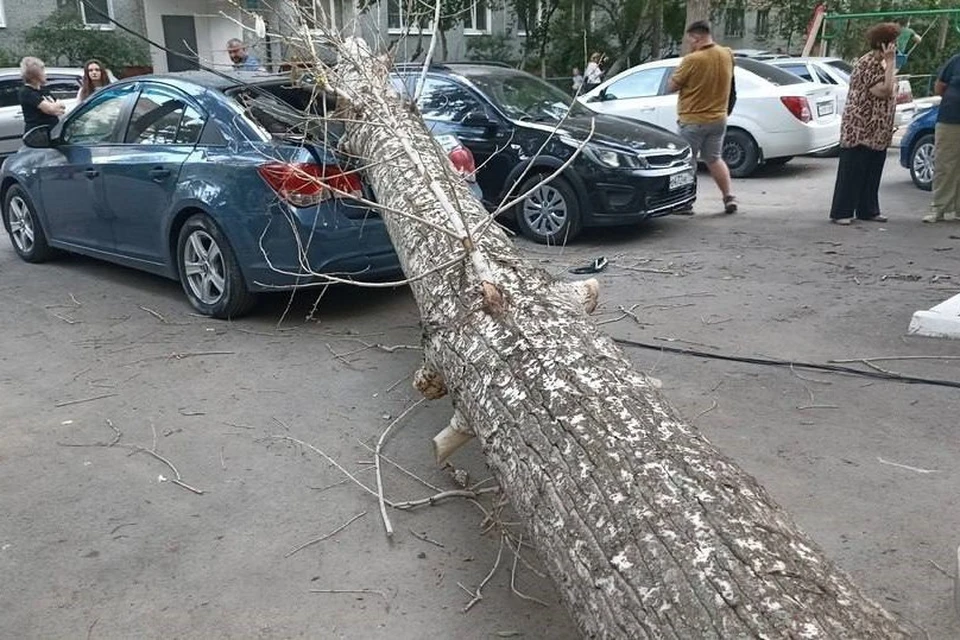 Это не первый случай в городе, когда на машины падает дерево. Фото: Оренбург Очевидец