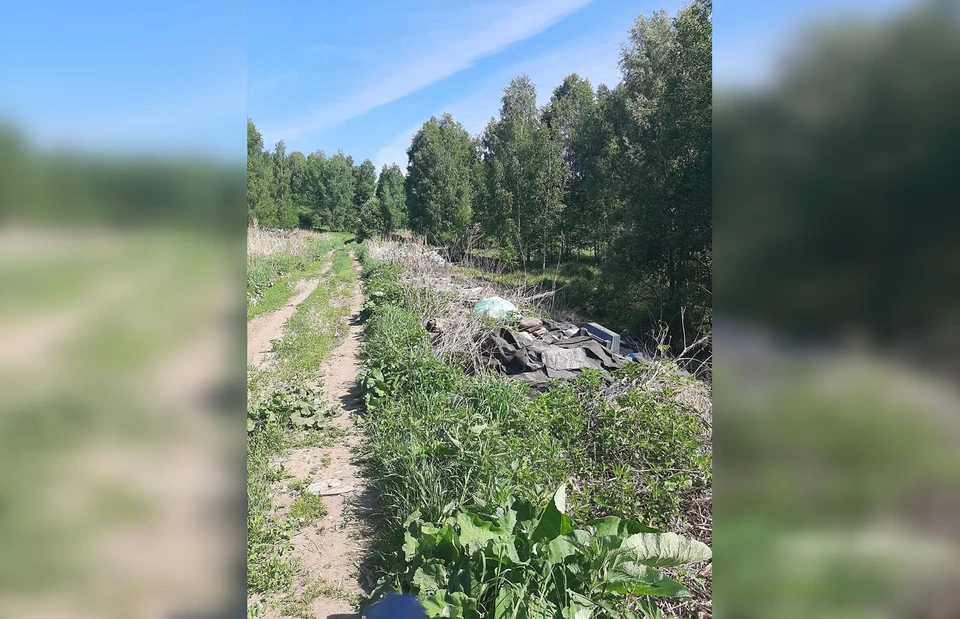 Фото: Управления Россельхознадзора по Новосибирской и Томской областям