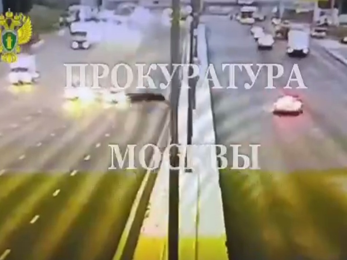 Момент ДТП с тремя лосями на МКАД в Москве попал на видео - KP.RU