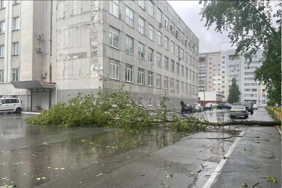 Фото: соцсети