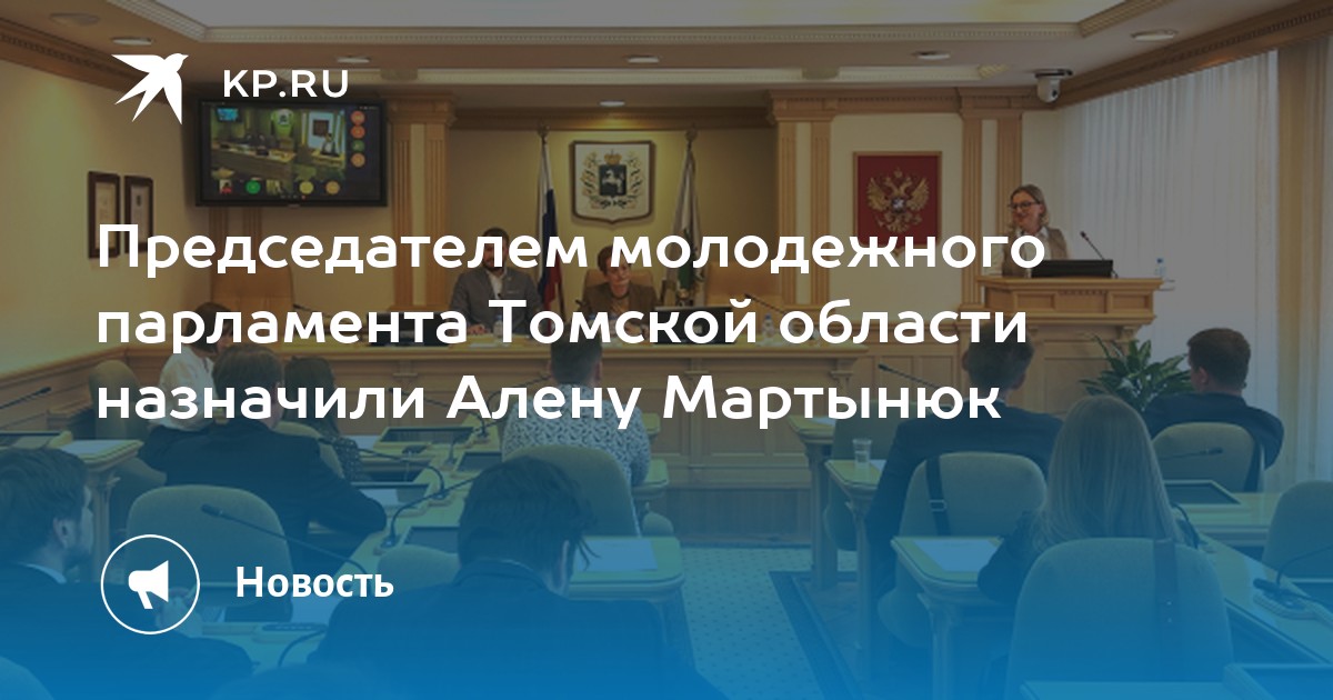 Проекты в молодежный парламент