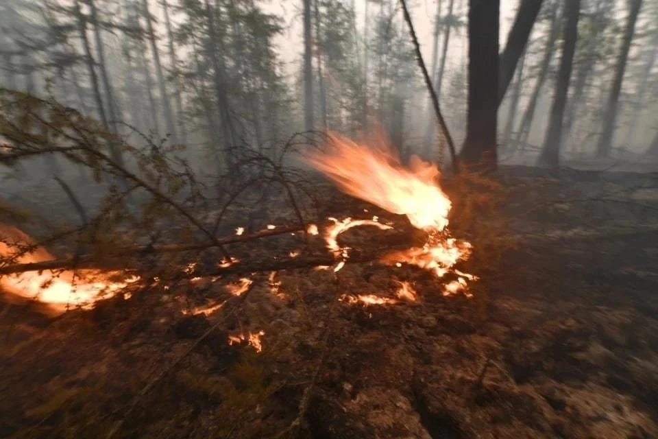 Противопожарный режим длился больше больше двух месяцев