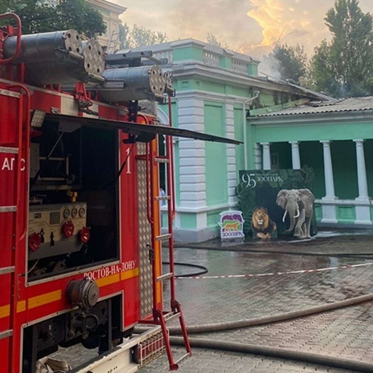 Пожар в зоопарке в Ростове-на-Дону 26 июня 2023: последние новости на  сегодня, главное - KP.RU