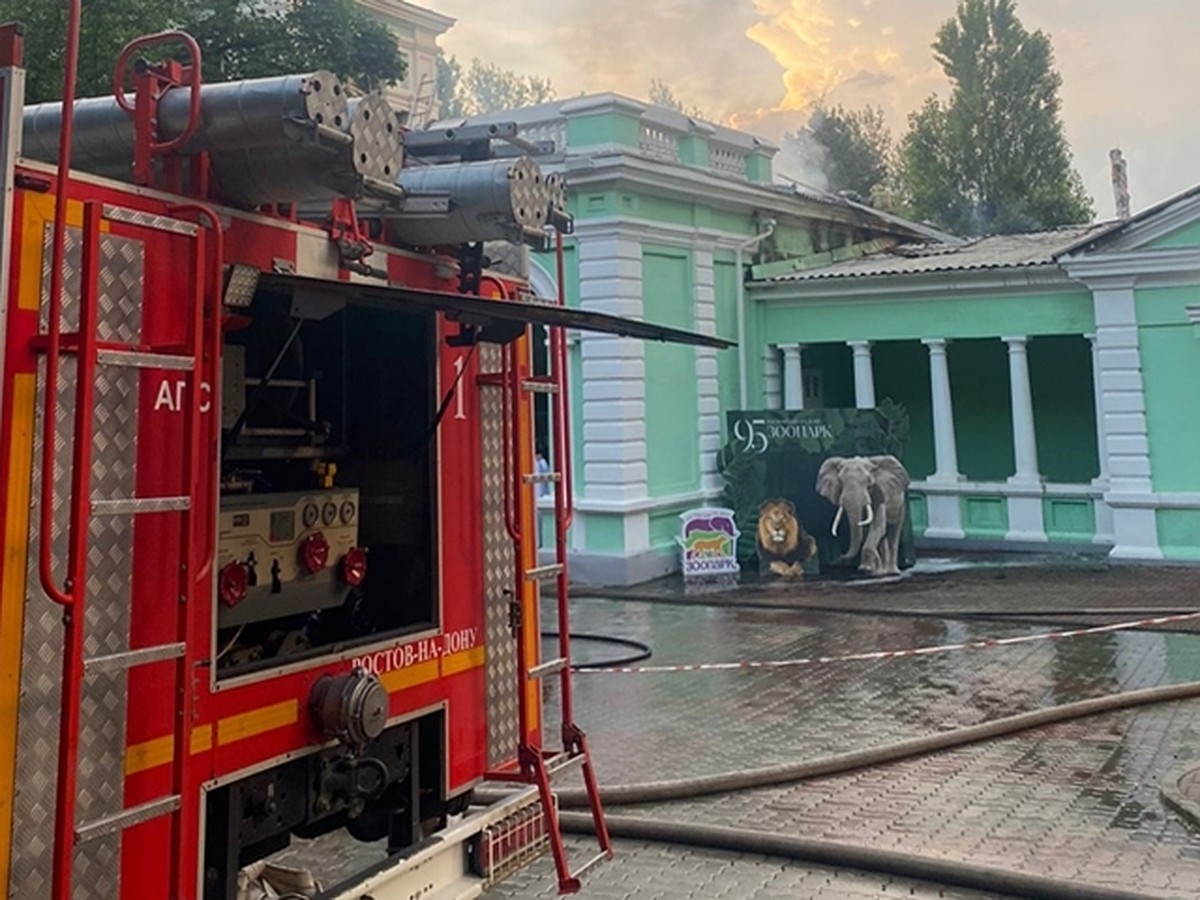 Пожар в зоопарке в Ростове-на-Дону 26 июня 2023: последние новости на  сегодня, главное - KP.RU