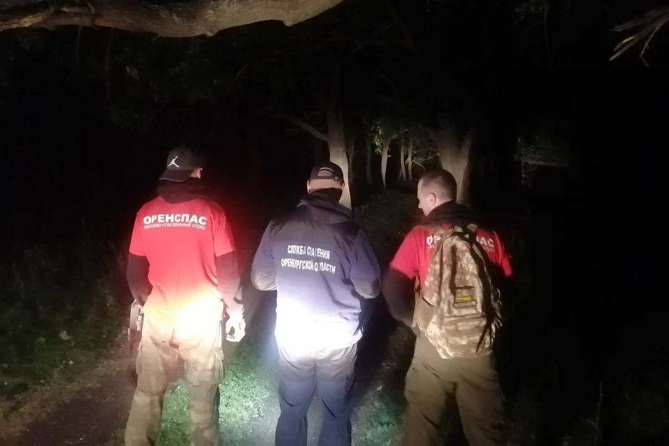 Девушка после полуночи сама смогла выйти к жилым домам поселка Черноречье