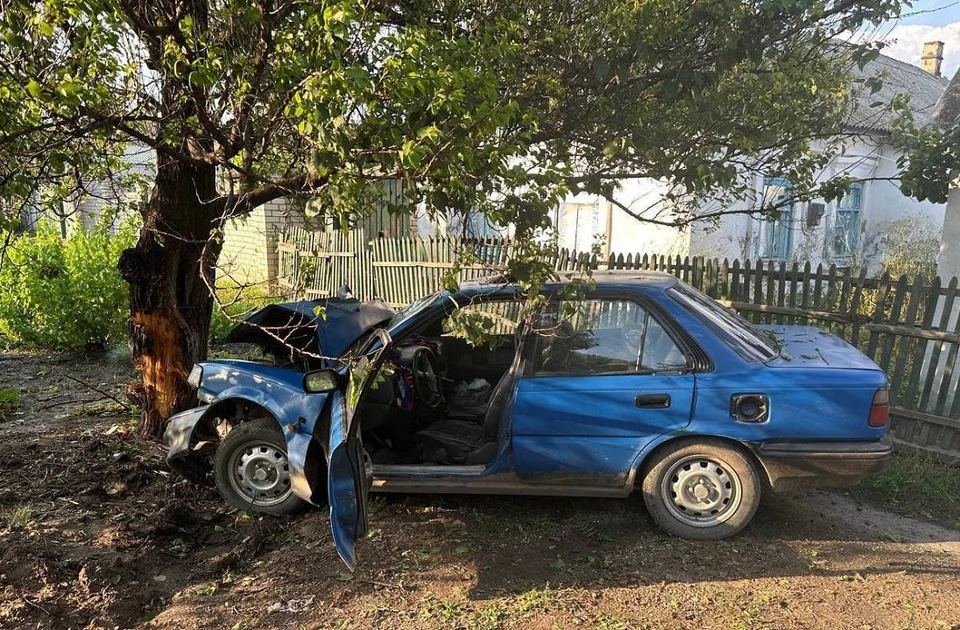 Автомобиль врезался в дерево. Фото: пресс-служба ГУ МВД по Херсонской области.