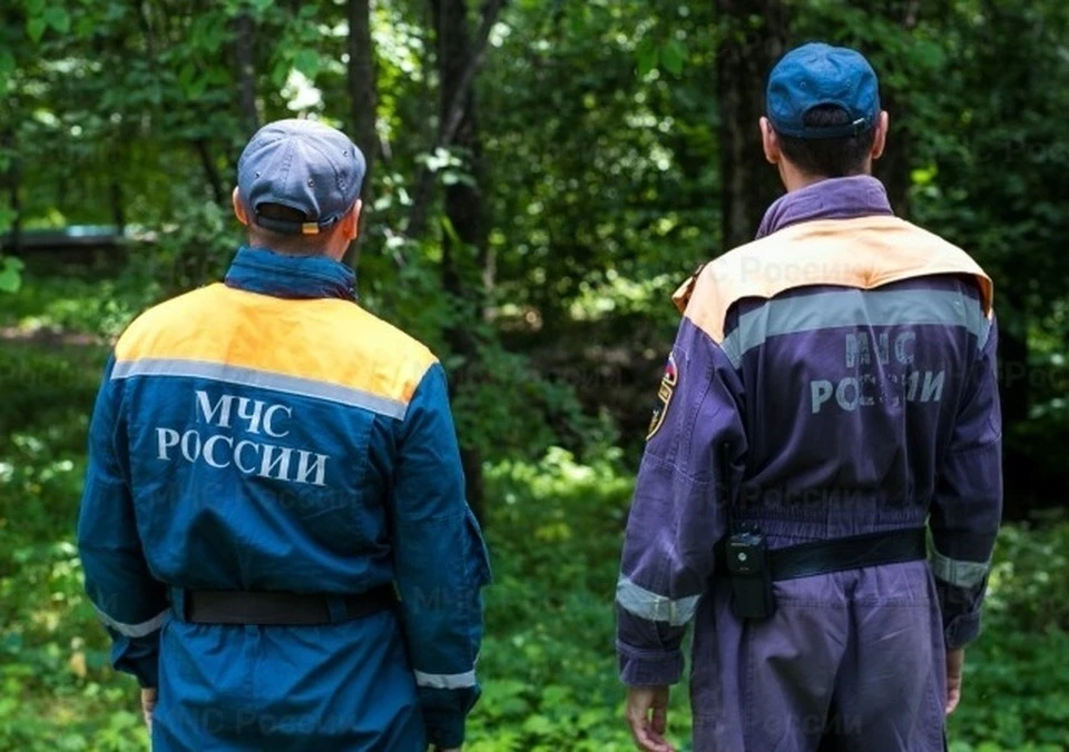 Пропавший четырехлетний мальчик найден живым в селе Песчаное в ЕАО. Фото: МЧС ЕАО