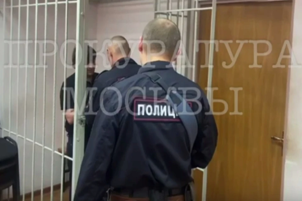 Вора заключили под стражу