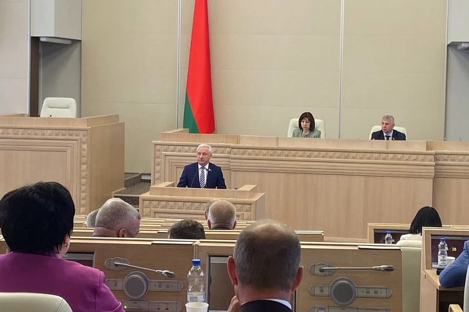 Законопроект о народном ополчении одобрен Советом Республики. Фото: Совет Республики