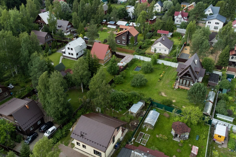 Загородную недвижимость под Петербургом предлагали обменять на щенков.