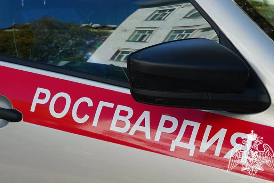 Патруль остановил авто на улице Жуковского. Фото: Росгвардия Кировской области