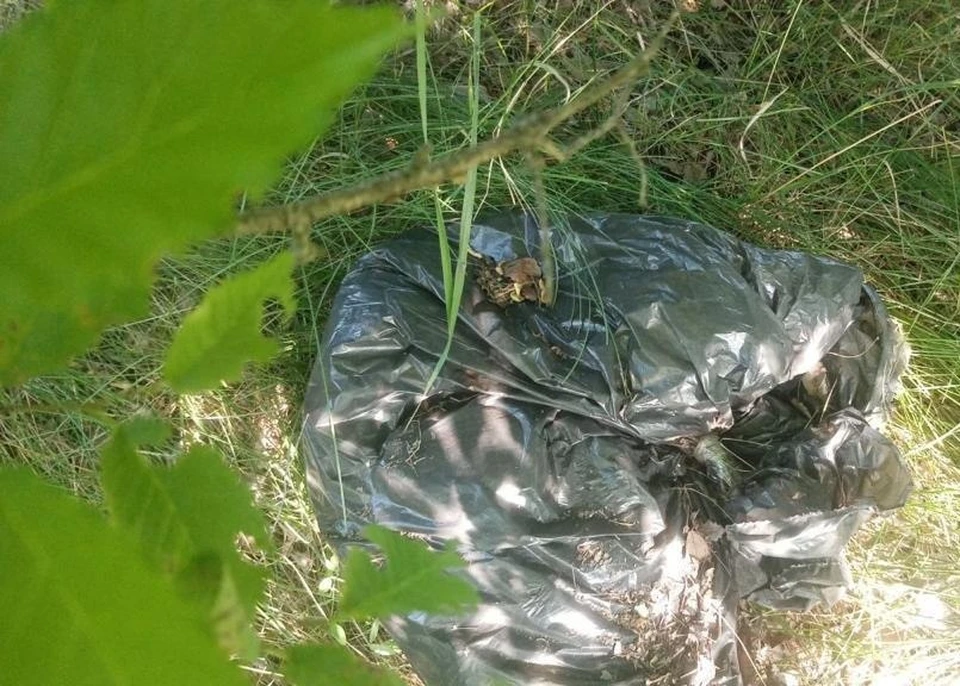 Фото: УФСБ России по Волгоградской области