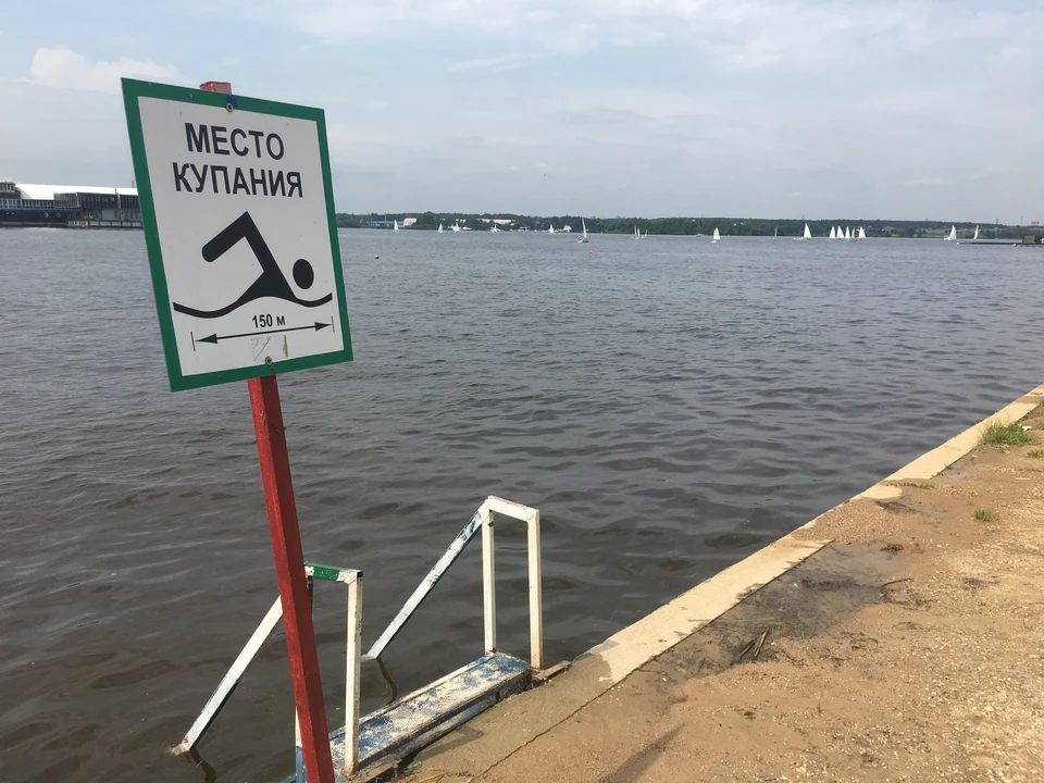 Фото: архив "КП"