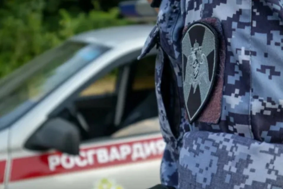 Ближайший патруль оперативно задержал нарушителя порядка. Фото: Росгвардия