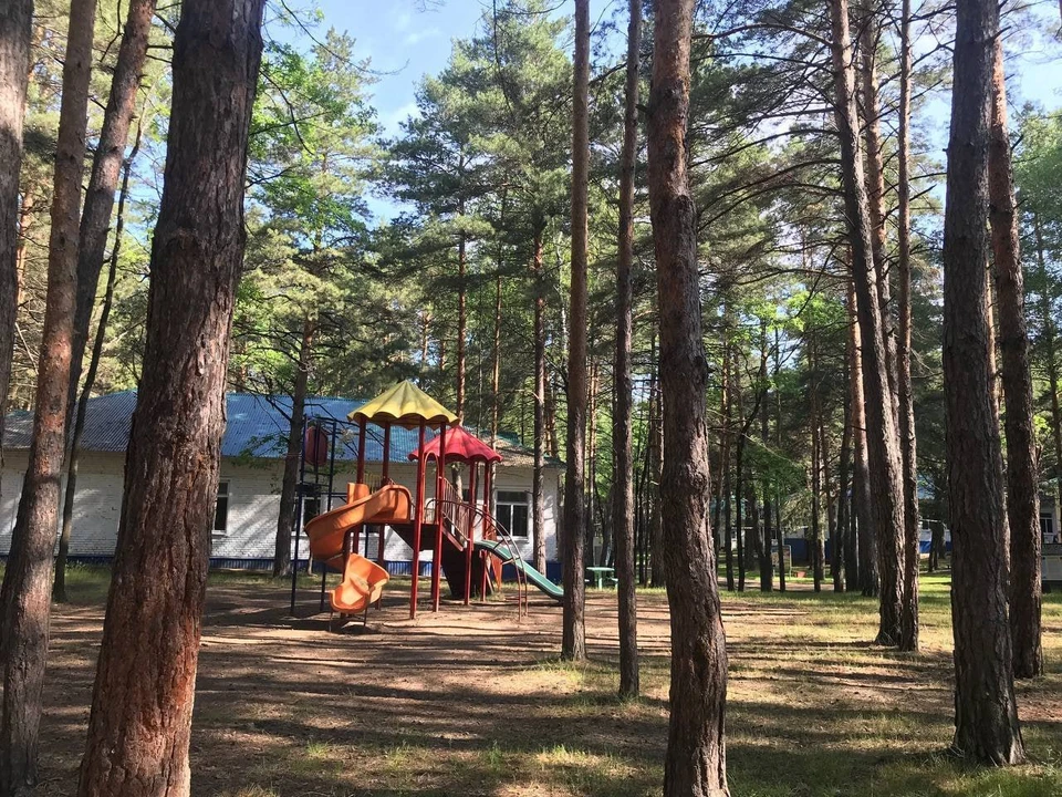 Фото мэрия города Ульяновска