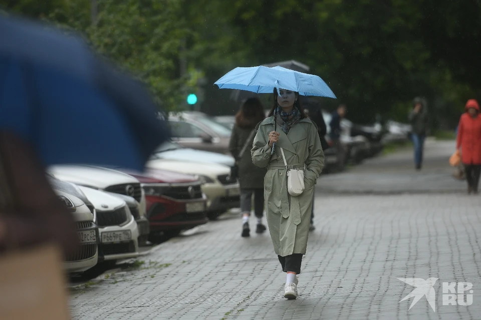 В Рязань придут похолодания, которые случаются один раз в 15 лет.