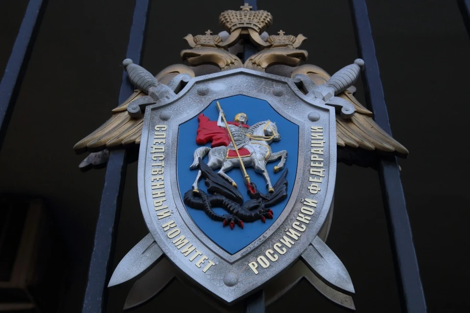 СК РФ завел уголовное дело об убийстве Ржицкого
