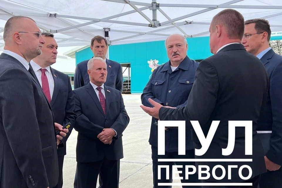 Лукашенко посчитал дворцом МТК "Павлинка" в Оршанском районе за 72 млн рублей. Фото: телеграм-канал «Пул Первого»